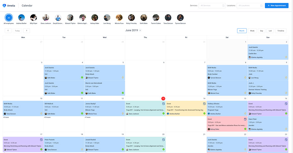 amelia booking calendar overview