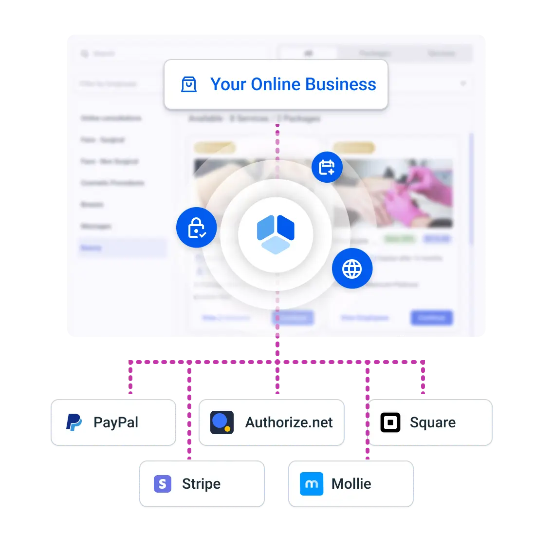 Amelia's payment gateways and payment providers